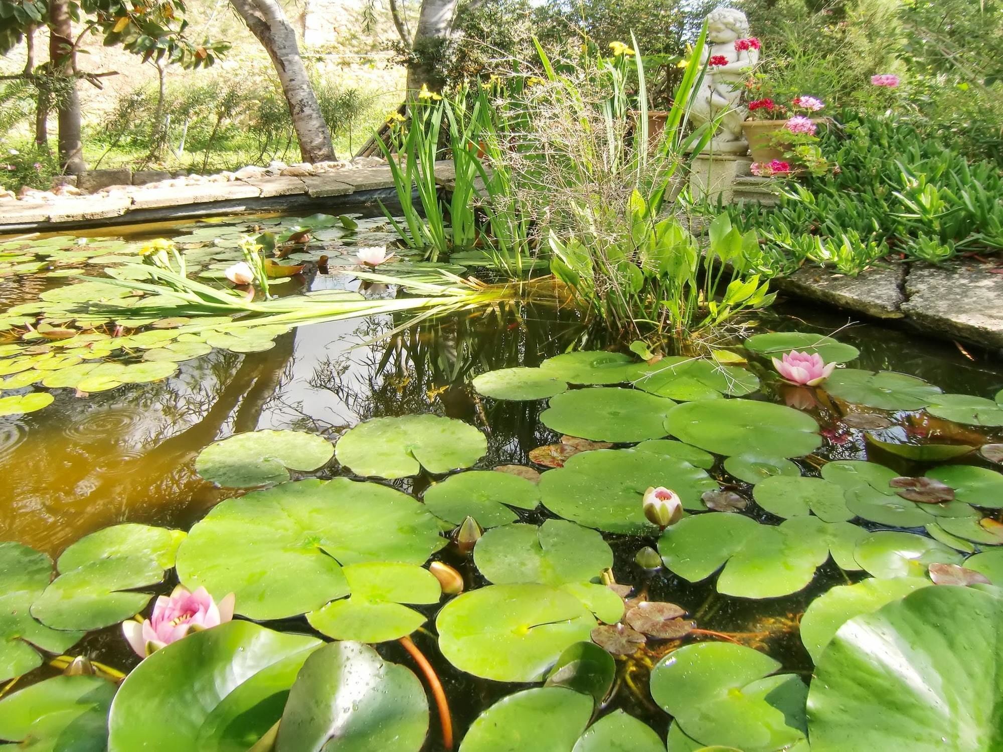 House With 3 Bedrooms In Muro, With Wonderful Mountain View, Enclosed Apartment
